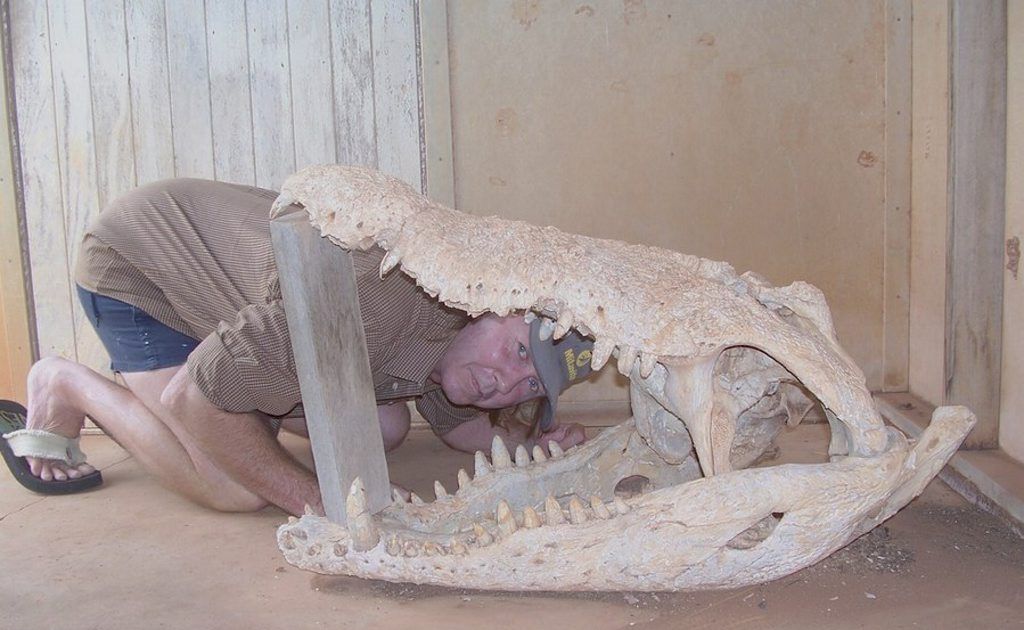 Phil Turner would make a nice snack for this 21-foot crocodile if it were still alive. Phil Turner would make a nice snack for this 21-foot crocodile if it were still alive.